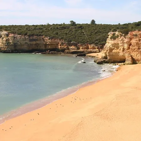 Apartamento Quinta Das Palmeiras 2.1 1ºd Porches (Algarve)